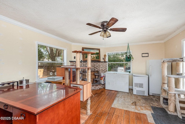 interior space featuring a ceiling fan, a healthy amount of sunlight, hardwood / wood-style floors, and ornamental molding