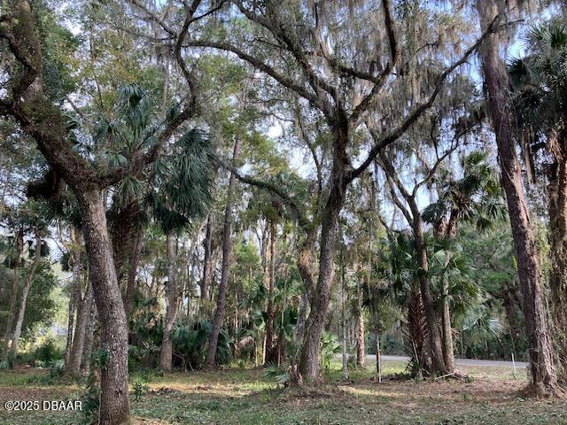 1644 Shell Harbor Rd, Pierson, FL 32180
