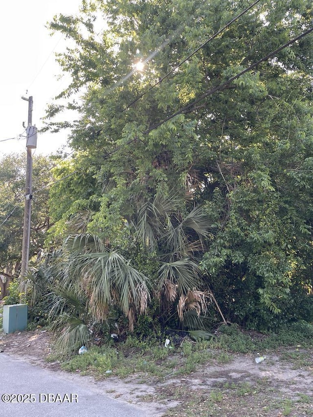 248 Washington Pl, Ormond Beach, FL 32174