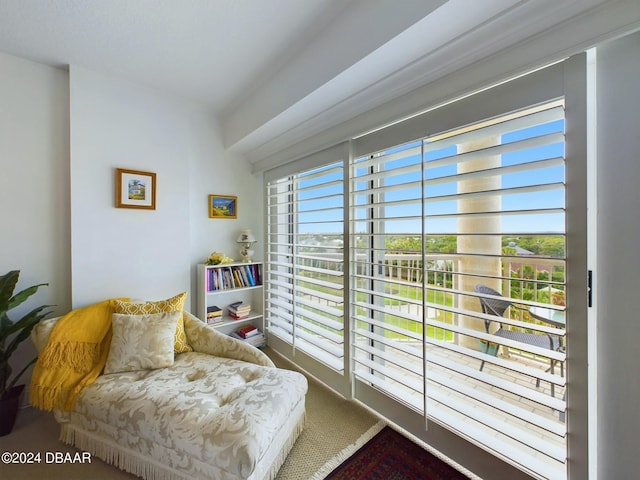 4670 Links Village Dr Unit C601, Ponce Inlet, FL 32127 - living area with carpet flooring