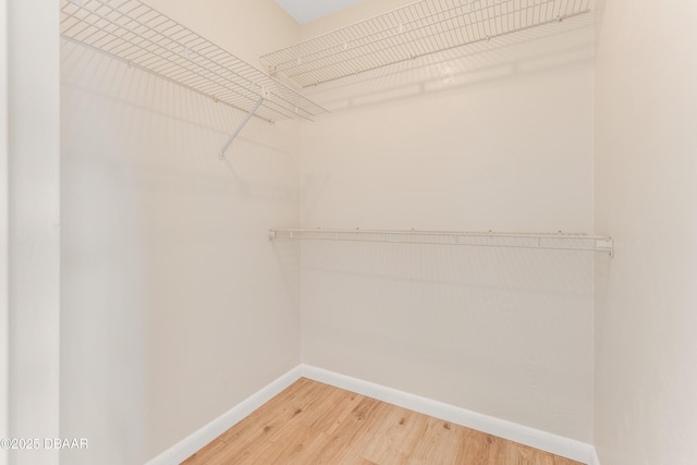 spacious closet featuring light wood finished floors