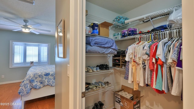 2942 Sea Oats Cir, Daytona Beach, FL 32118 - walk in closet with ceiling fan and wood finished floors