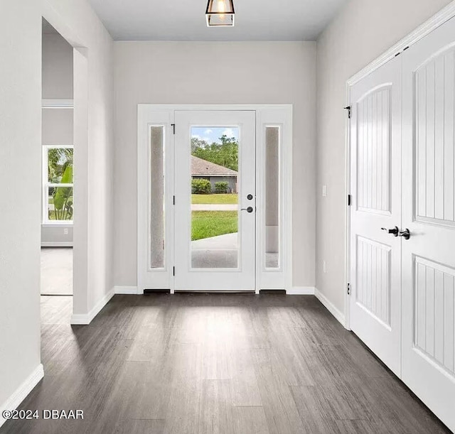 entryway featuring dark wood-type flooring