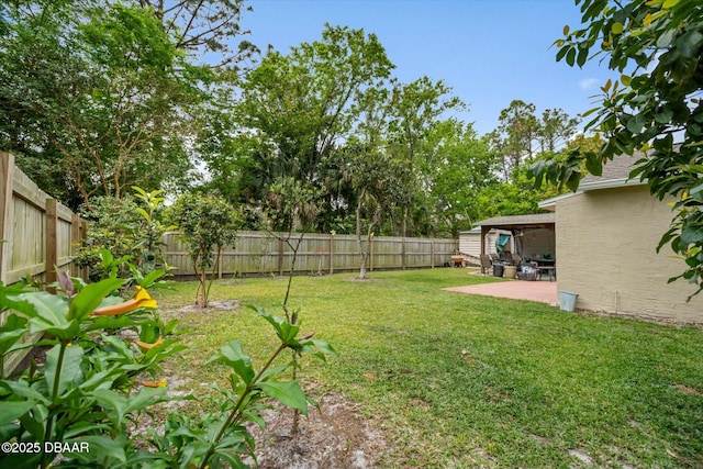 view of yard featuring a patio area and a fenced backyard