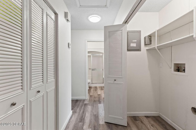 laundry area with hookup for a washing machine, a textured ceiling, and light wood-type flooring