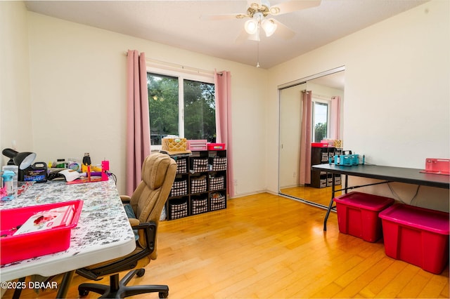 office space featuring ceiling fan, wood finished floors, and plenty of natural light
