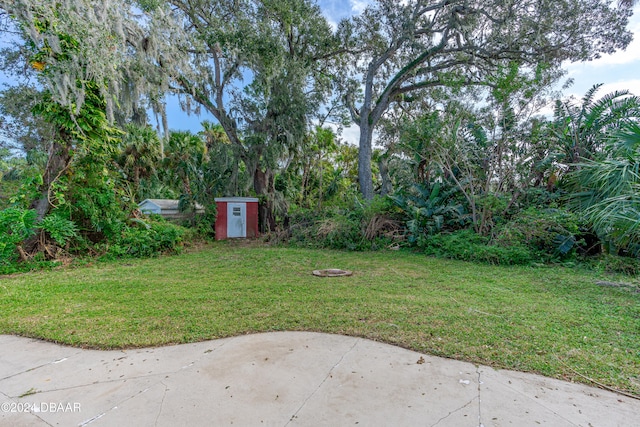 view of yard featuring a patio area