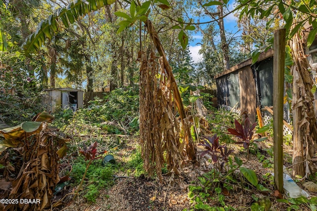 view of yard featuring a storage shed