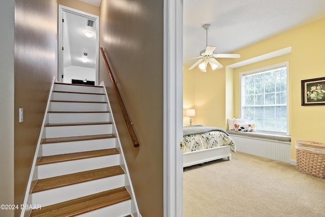 stairs featuring carpet and ceiling fan