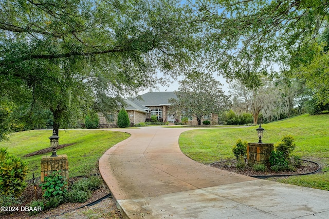 view of community featuring a yard