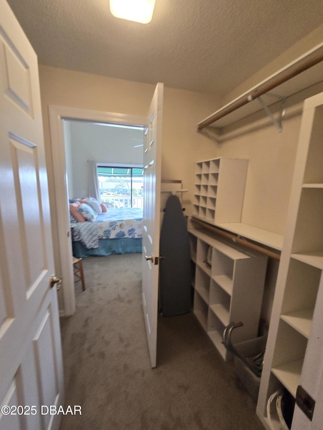 113 Lagoon Ct, New Smyrna Beach, FL 32169 - spacious closet featuring carpet flooring