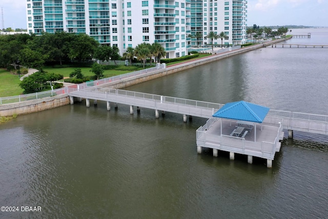 dock area with a water view