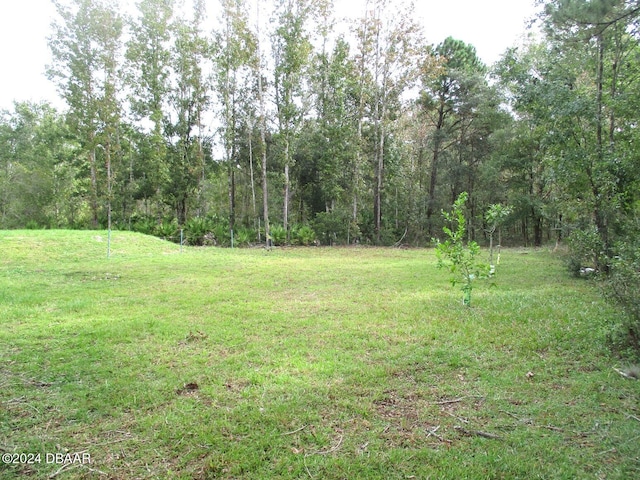 10240 Weatherby Ave, Hastings, FL 32145 - photo 4
