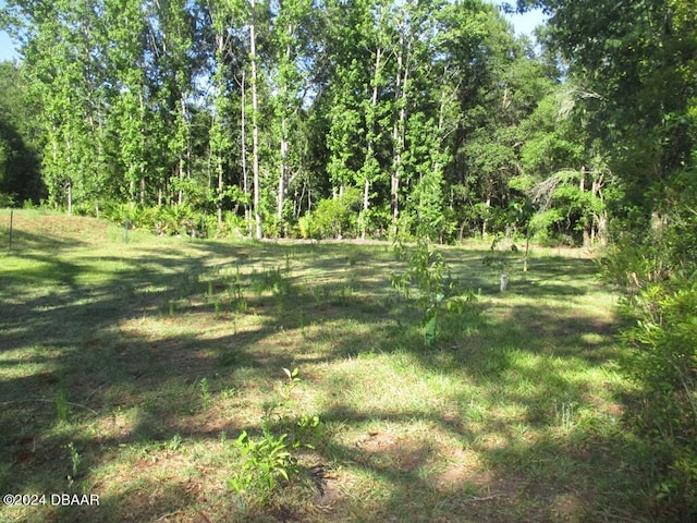 10240 Weatherby Ave, Hastings, FL 32145 - photo 25