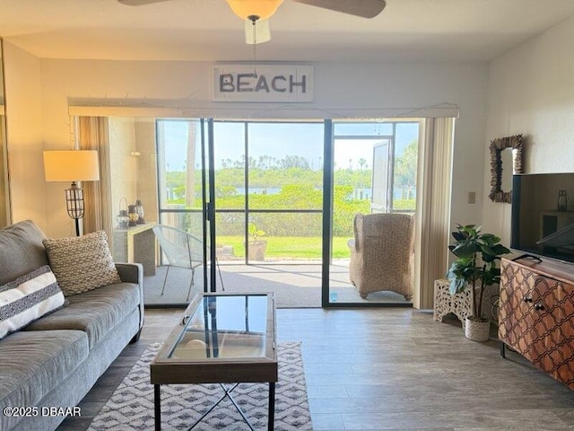 460 Bouchelle Dr Unit 104, New Smyrna Beach, FL 32169 - living room featuring ceiling fan and wood finished floors