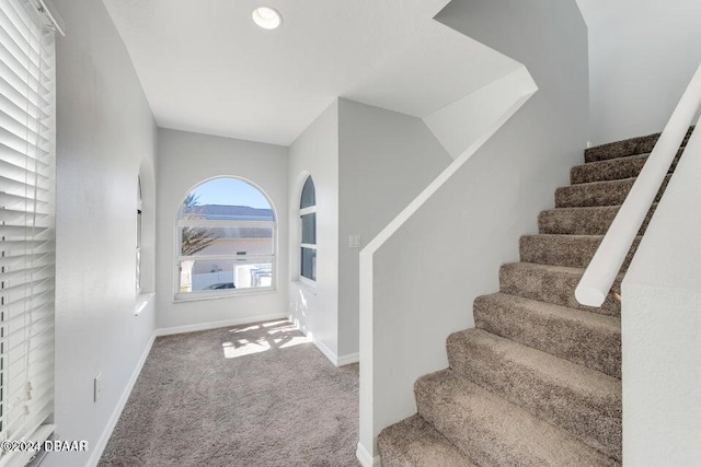 entrance foyer with carpet flooring