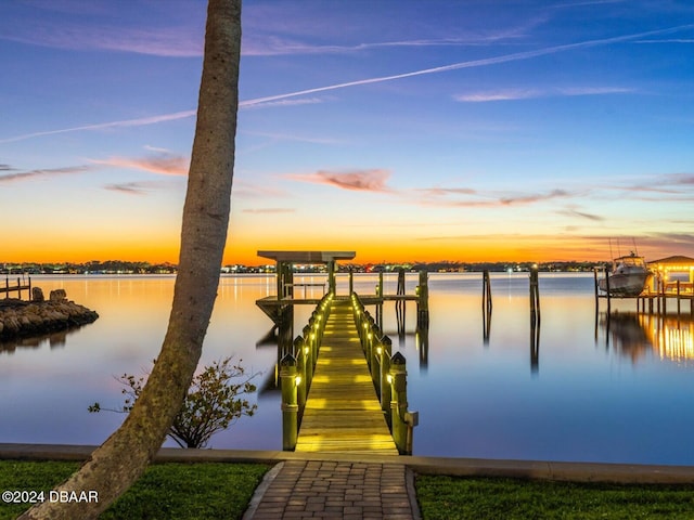 dock area with a water view