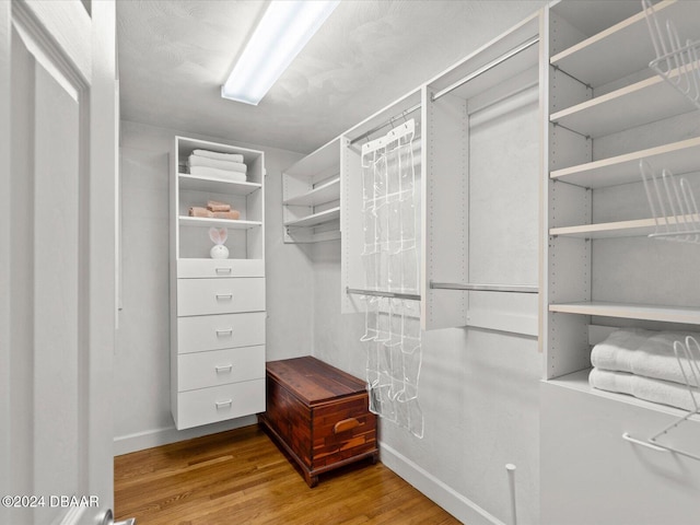 spacious closet with hardwood / wood-style flooring