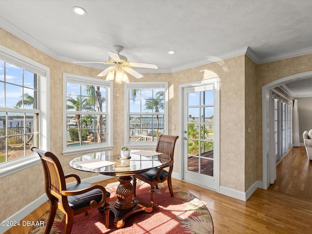 sunroom with plenty of natural light and ceiling fan