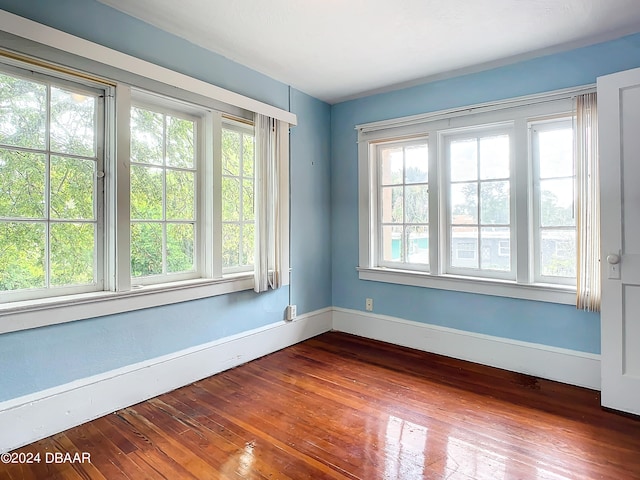 empty room with a wealth of natural light and hardwood / wood-style floors