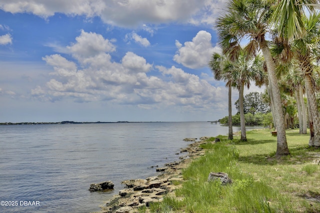 178 Bluefish Pl, Rockledge, FL 32955 - photo 47