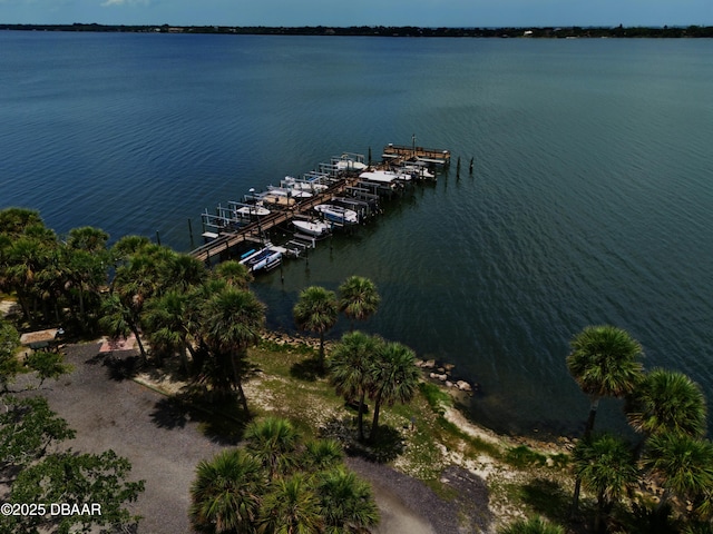 178 Bluefish Pl, Rockledge, FL 32955 - photo 49