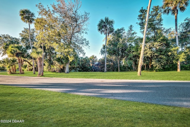 view of home's community featuring a yard