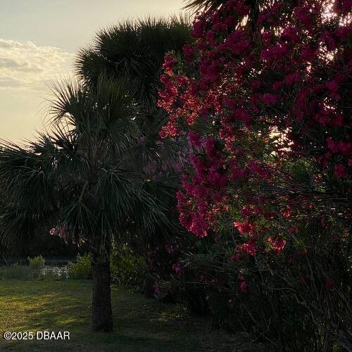 view of nature at dusk