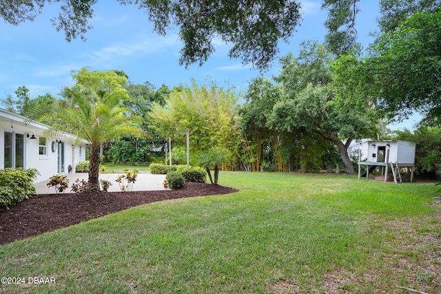 view of yard featuring a patio