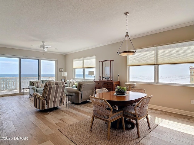 dining space featuring light wood-type flooring, a textured ceiling, and ceiling fan