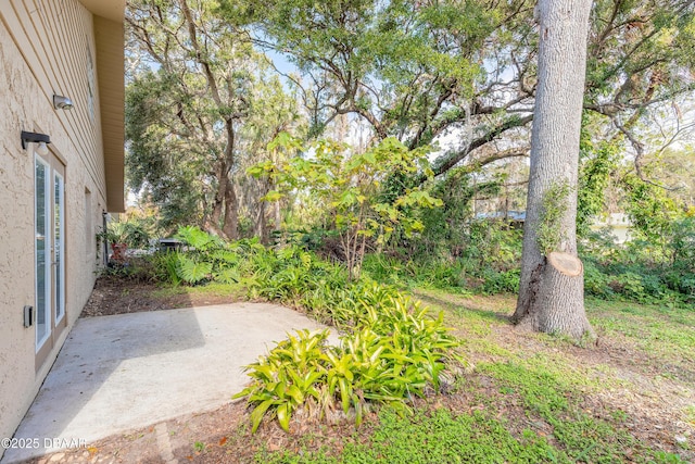 view of yard with a patio area