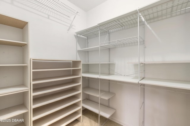 view of spacious closet