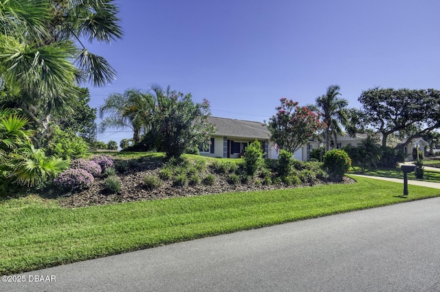 29 Concord Dr, Ormond Beach, FL 32176 - view of front of house featuring a front yard