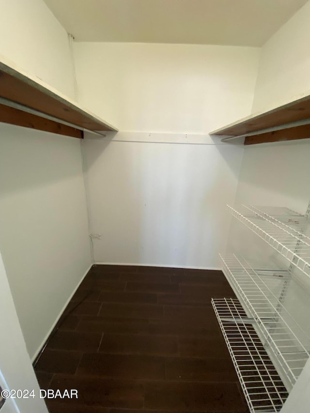 spacious closet featuring dark hardwood / wood-style flooring