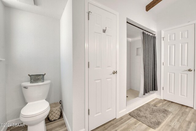 bathroom with a shower with curtain, wood-type flooring, and toilet