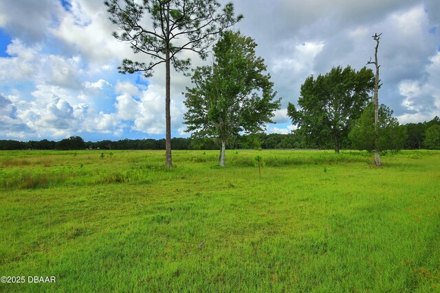 1948 Spruce Creek Lndg, Port Orange, FL 32128 - view of yard featuring a rural view