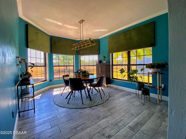 1948 Spruce Creek Lndg, Port Orange, FL 32128 - dining room with a textured ceiling, crown molding, wood finish floors, and baseboards