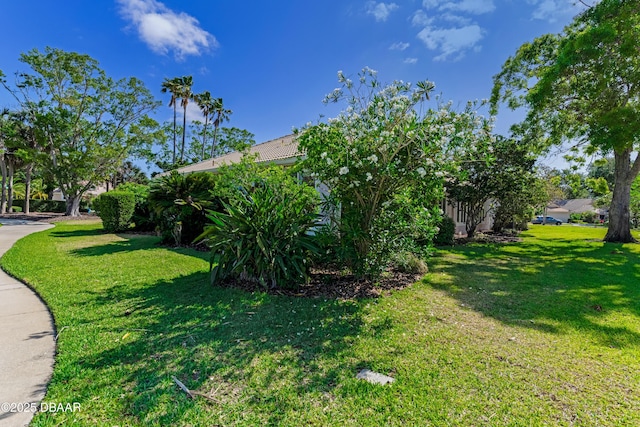 view of yard
