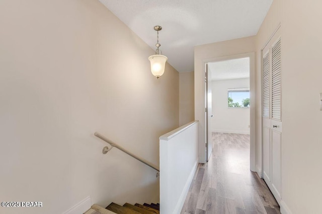 55 Vining Ct, Ormond Beach, FL 32176 - photo 21