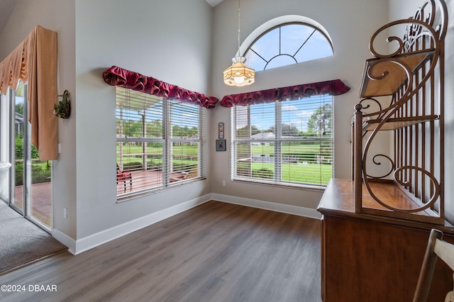 interior space with a towering ceiling and dark hardwood / wood-style floors