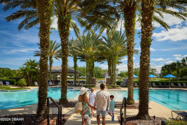 view of swimming pool featuring a patio area