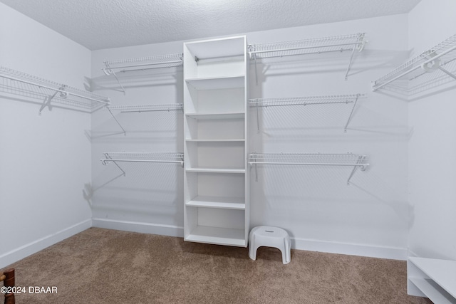 walk in closet featuring carpet flooring