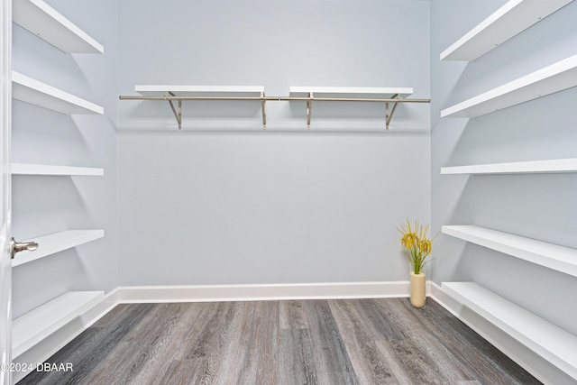 walk in closet with dark hardwood / wood-style flooring