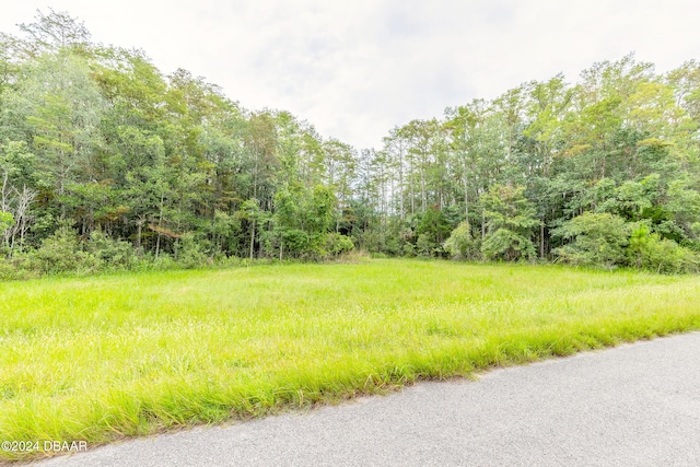 515 Cypress Isles Rd, Osteen FL, 32764 land for sale