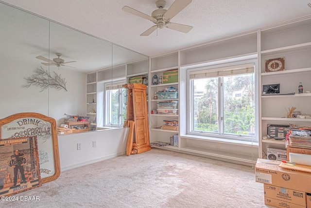 interior space with ceiling fan, multiple windows, and a textured ceiling