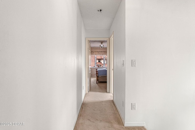 hall with light carpet and baseboards