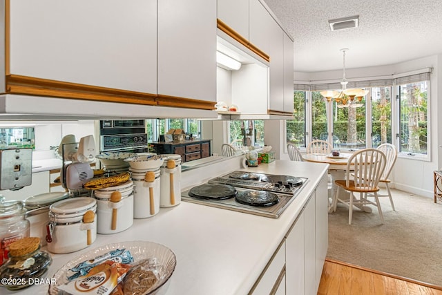 kitchen with light countertops, plenty of natural light, stovetop with downdraft, and a textured ceiling