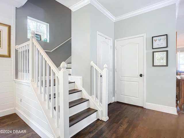 stairs with wood-type flooring and ornamental molding