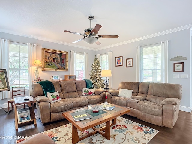 living room featuring ornamental molding, a wealth of natural light, dark wood-type flooring, and ceiling fan