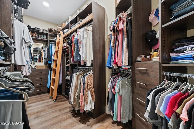 4 Oakview Ct, Palm Coast, FL 32137 - walk in closet with wood finished floors